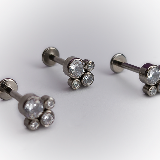 LABRET ANIMAL PAW GEN - TITANIUM ASTM F136 - GRADO IMPLANTE